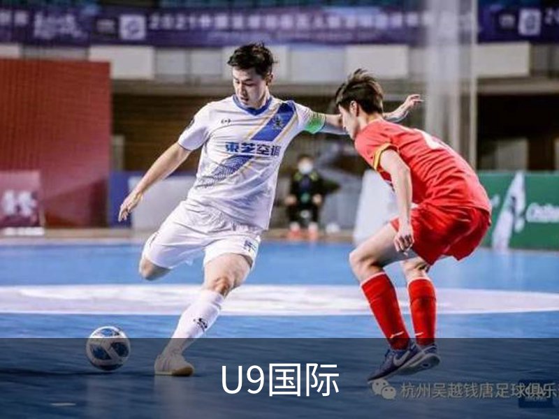 U9国际 官方入口 (中国)官方安全网站